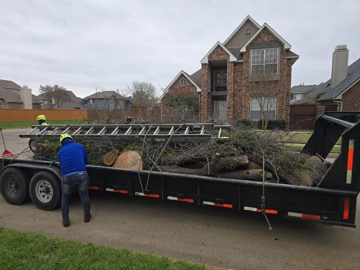 Expert Lot Clearing with proper safety equipment in Clarkston